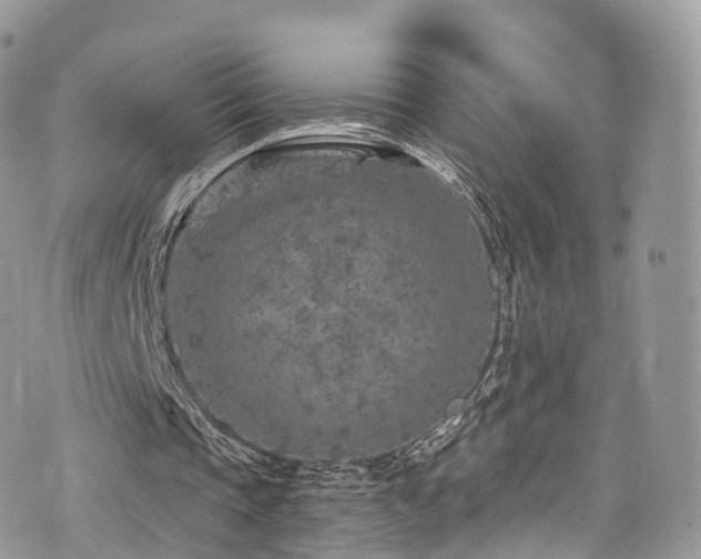 X0000073920337200608111228