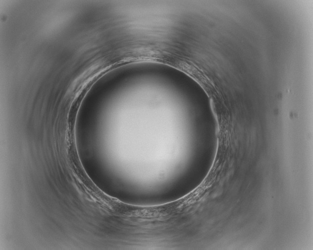 X0000073920338200608111228