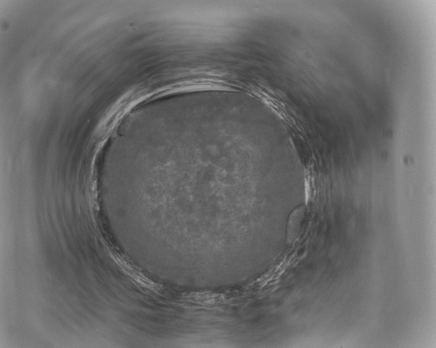 X0000073920339200608111228