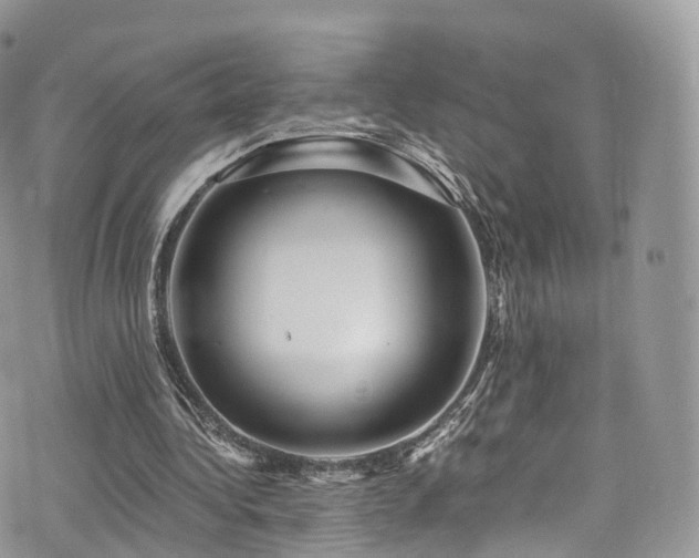 X0000073920340200608111228