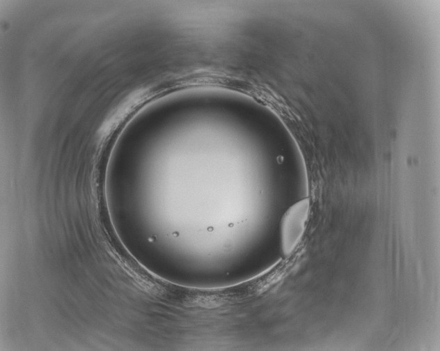 X0000073920341200608111228