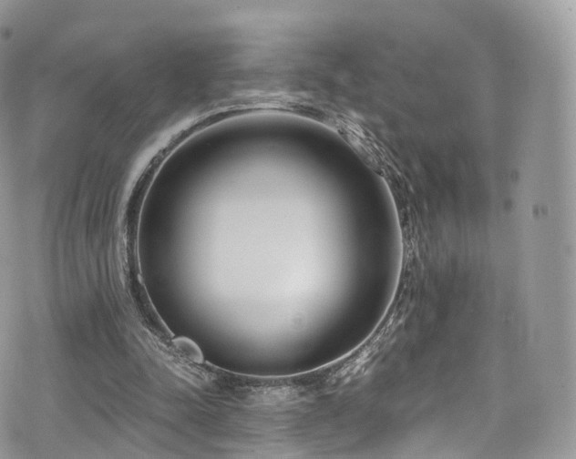 X0000073920342200608111228