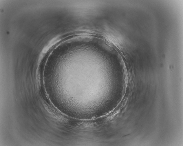 X0000073920343200608111228