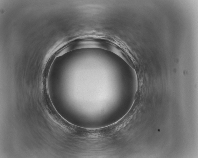 X0000073920344200608111228