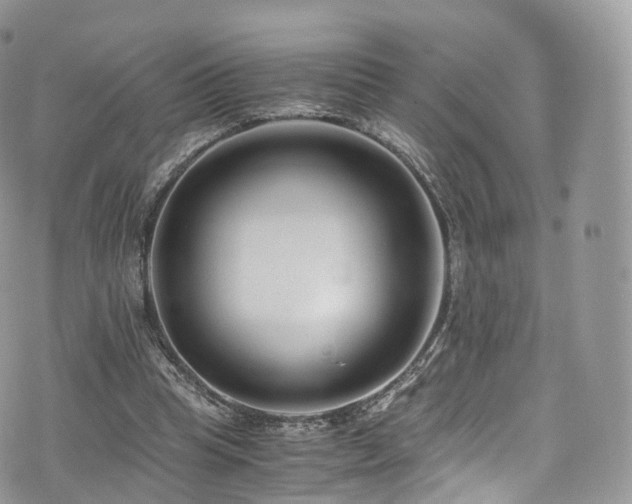 X0000073920345200608111228