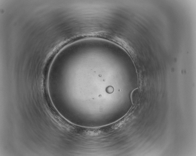 X0000073920346200608111228