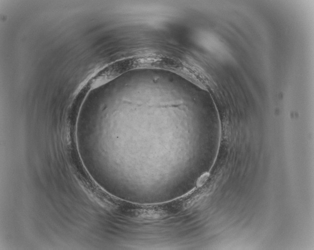 X0000073920347200608111228