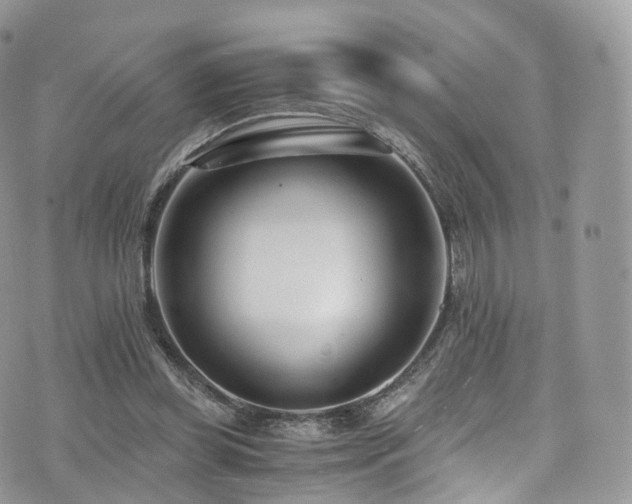 X0000073920349200608111228