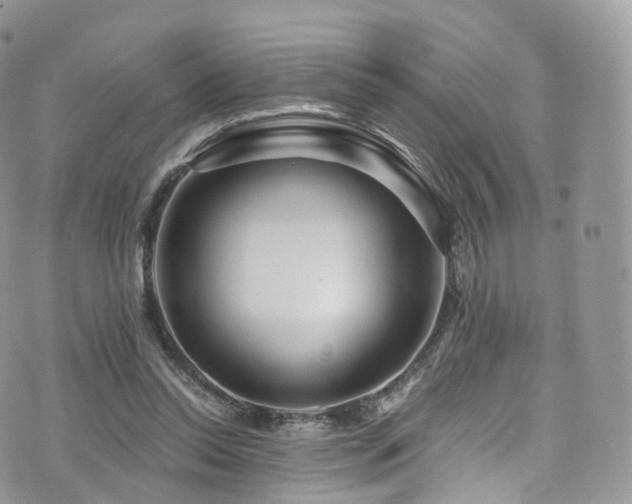 X0000073920350200608111228