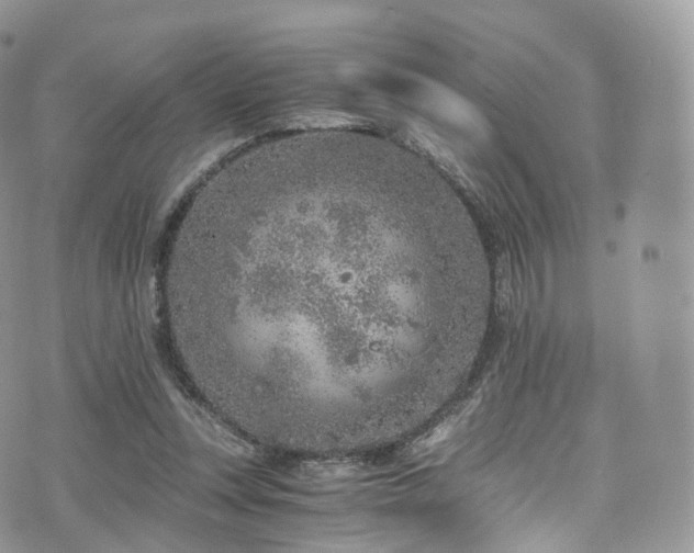 X0000073920351200608111228