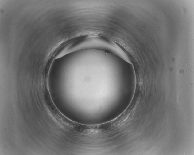 X0000073920352200608111228