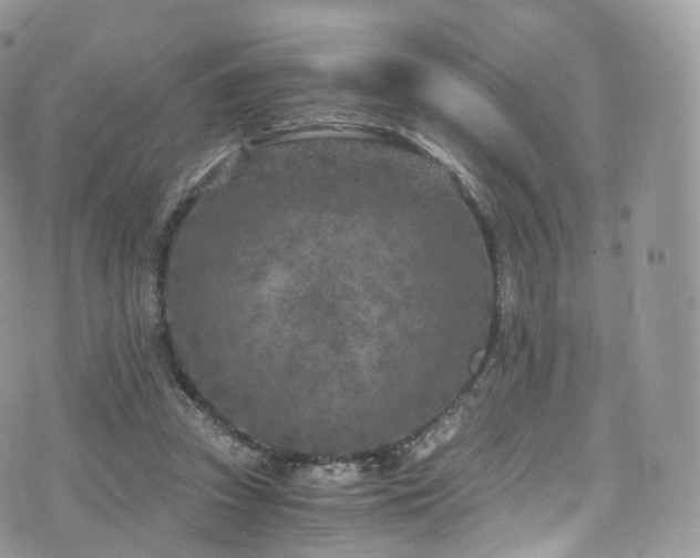 X0000073920353200608111228