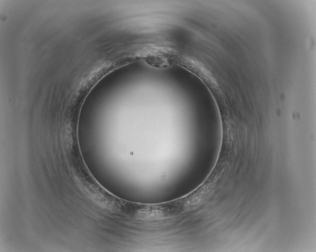 X0000073920354200608111228