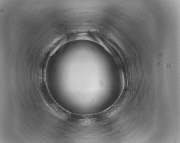 X0000073920356200608111228