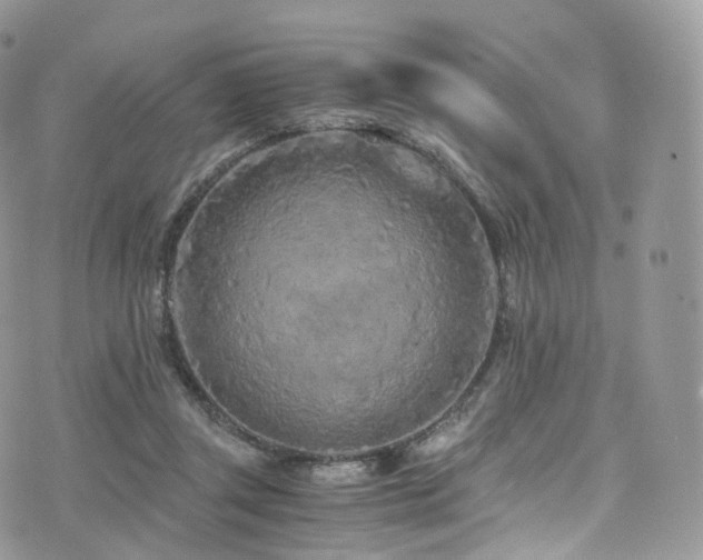 X0000073920357200608111228