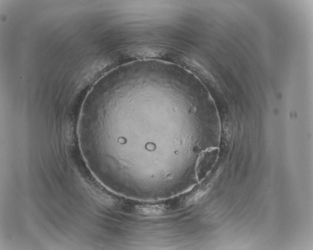 X0000073920359200608111228