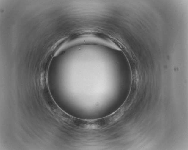 X0000073920360200608111228