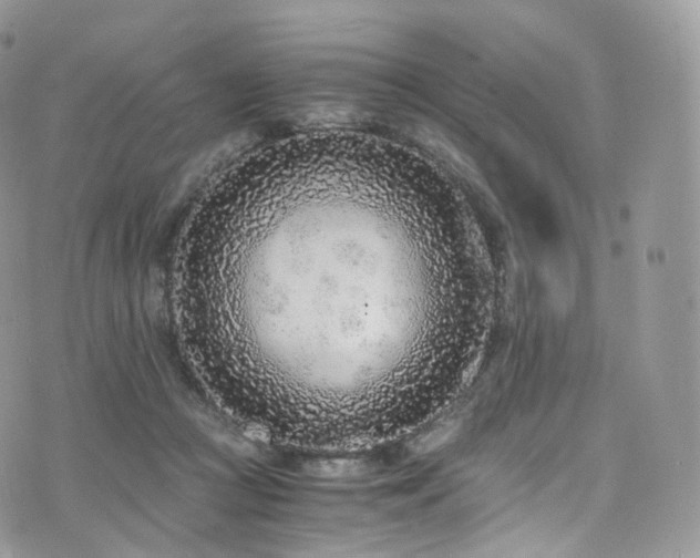 X0000073920361200608111228