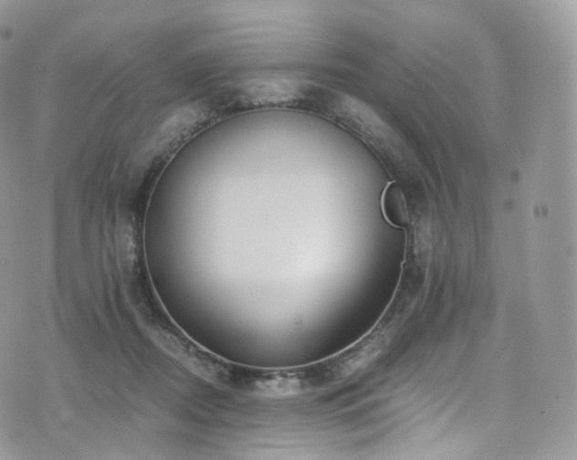 X0000073920362200608111228