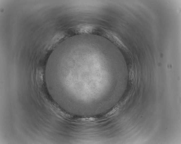 X0000073920363200608111228