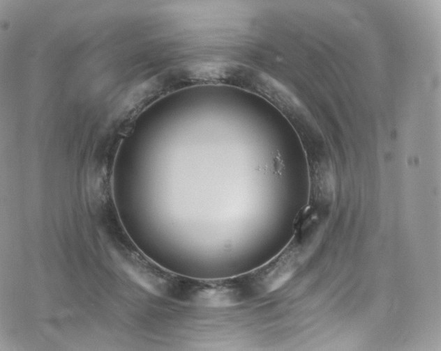 X0000073920364200608111228