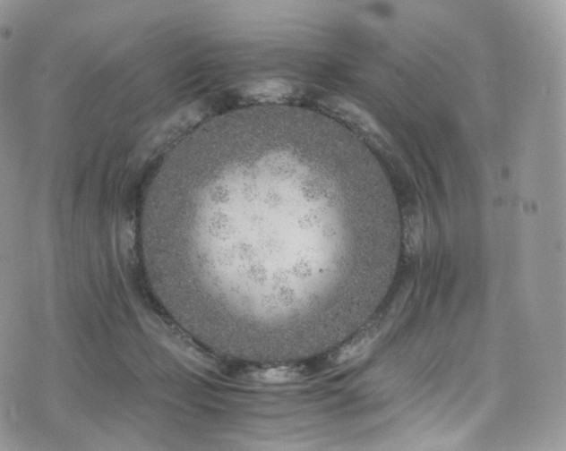 X0000073920365200608111228