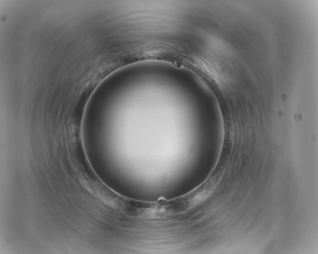 X0000073920366200608111228