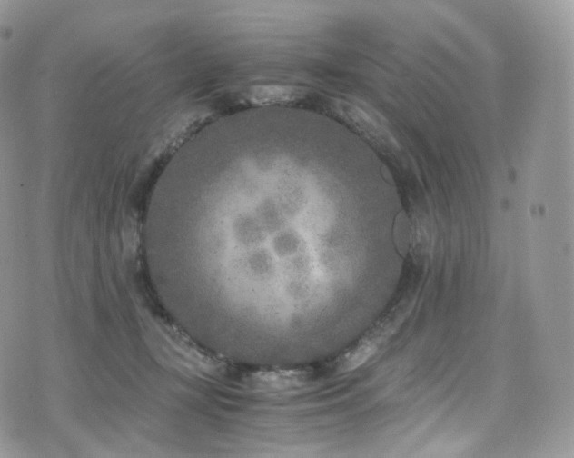 X0000073920367200608111228