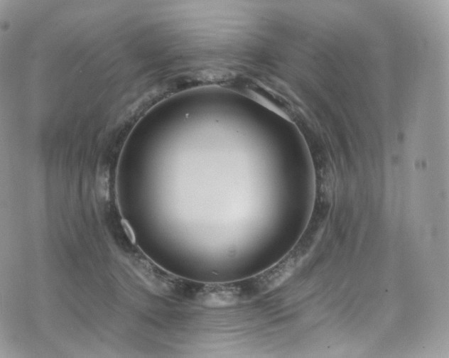 X0000073920368200608111228