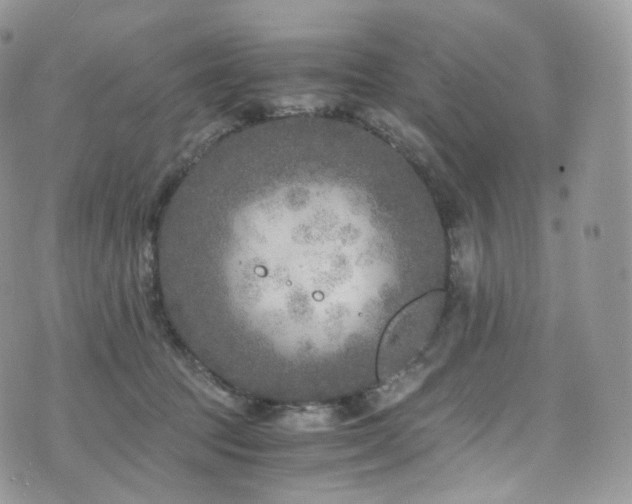 X0000073920369200608111228