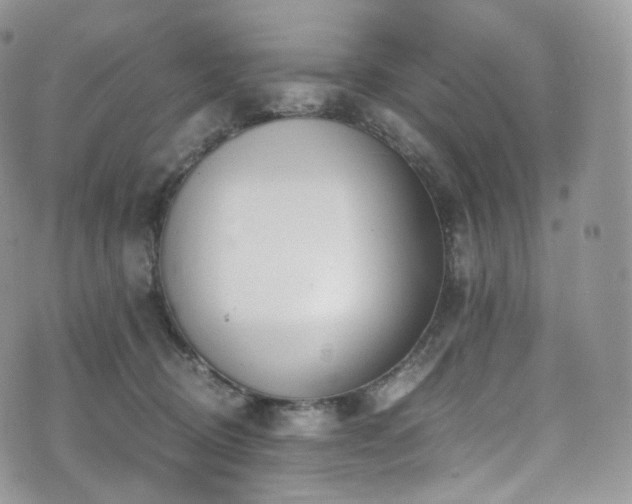 X0000073920370200608111228