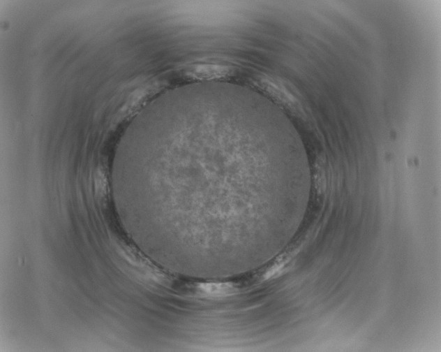 X0000073920371200608111228