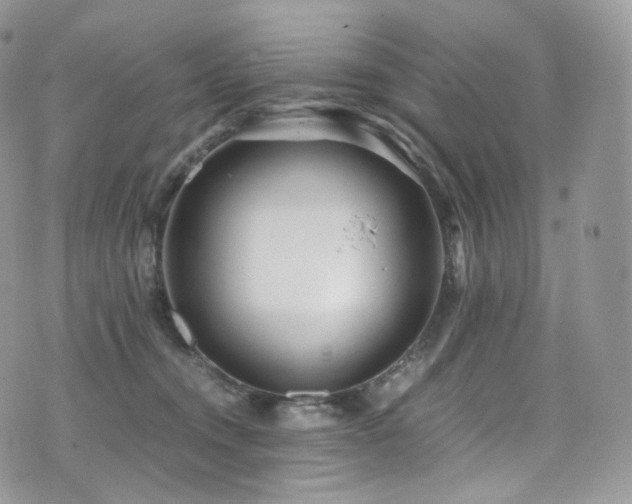 X0000073920372200608111228