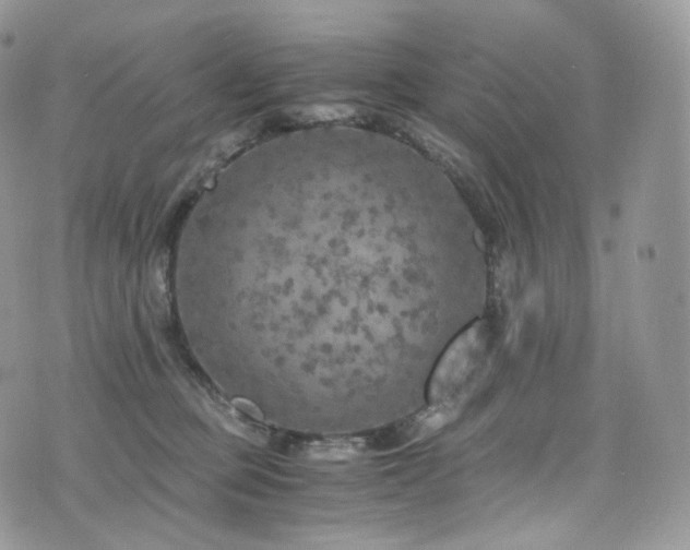 X0000073920373200608111228