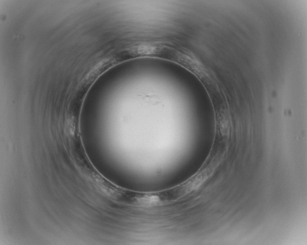 X0000073920374200608111228