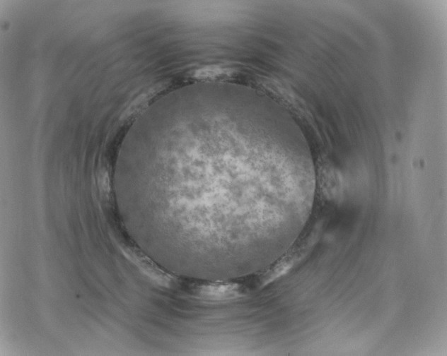 X0000073920375200608111228