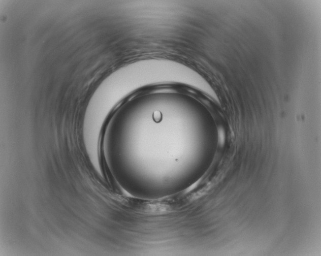 X0000073920376200608111228