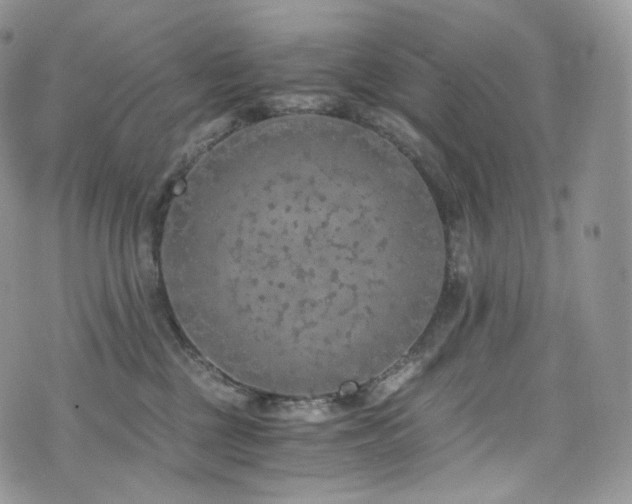 X0000073920377200608111228