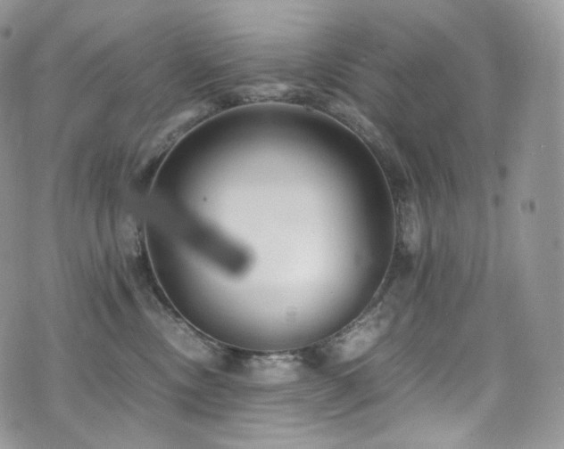 X0000073920378200608111228