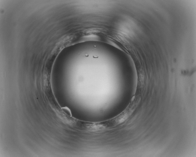 X0000073920379200608111228