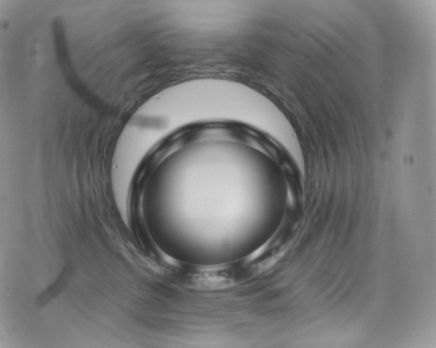 X0000073920380200608111229