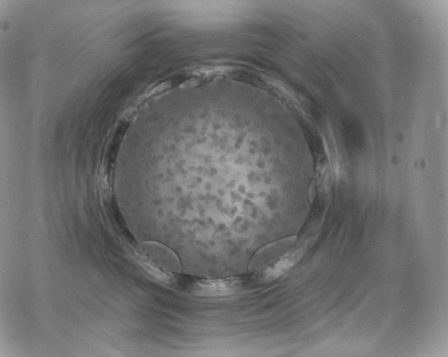 X0000073920381200608111229