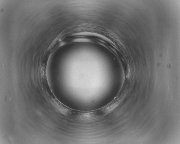 X0000073920382200608111229