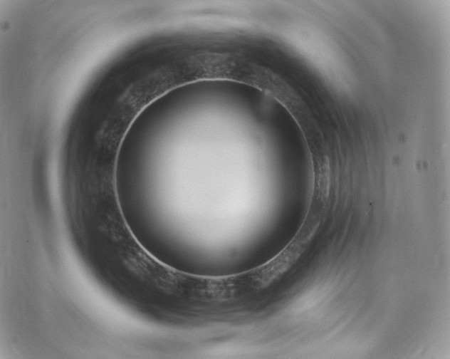 X0000073920383200608111229