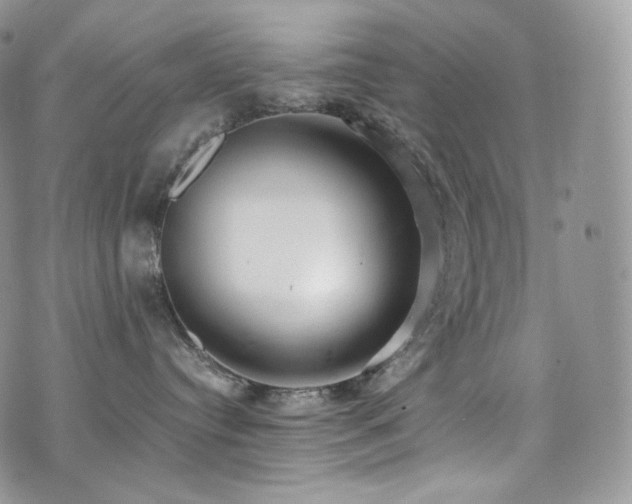 X0000073920384200608111229