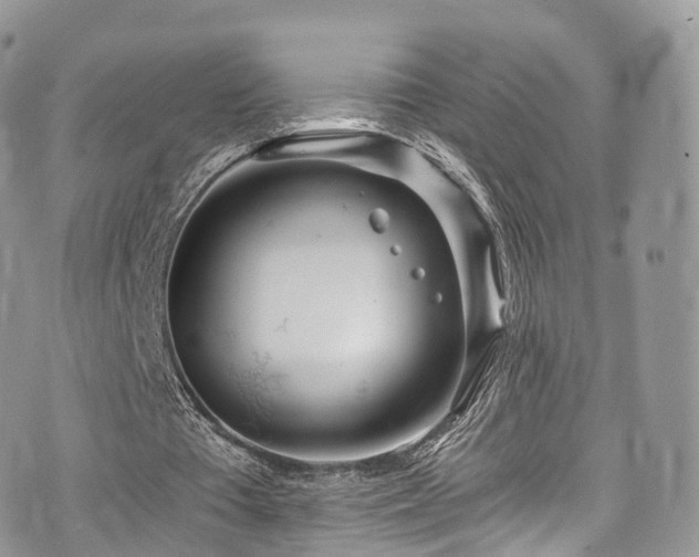 X0000073920385200608111228