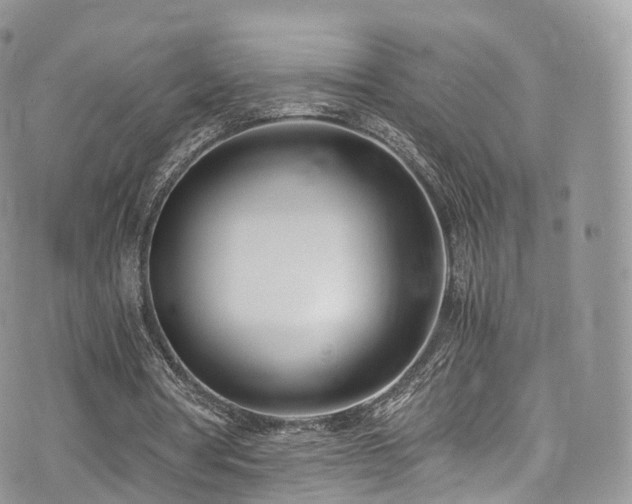 X0000073920386200608111228