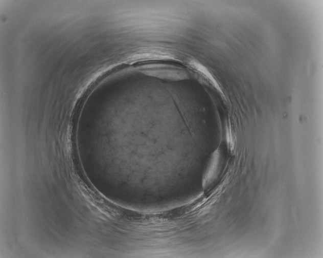 X0000073920387200608111228