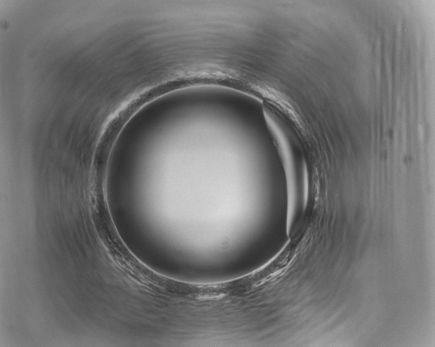 X0000073920388200608111228