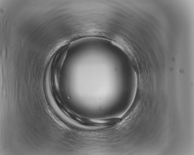 X0000073920389200608111228